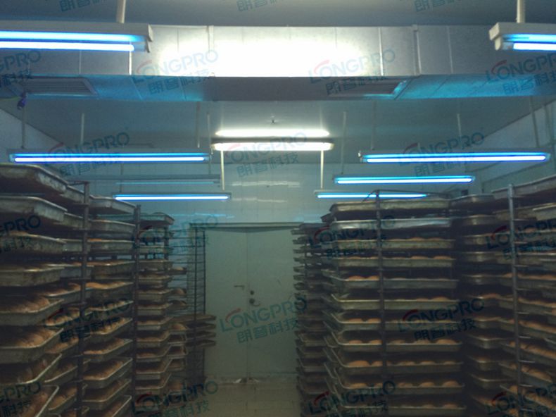 圖片2.jpg 圖片2.jpg