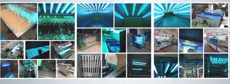 圖片3.jpg 圖片3.jpg