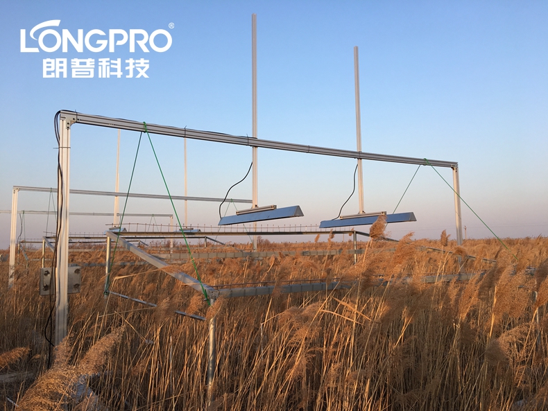 中科院黃河三角洲蘆葦地增溫模擬實驗.jpg 中科院黃河三角洲蘆葦地增溫模擬實驗.jpg